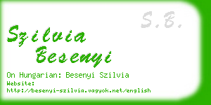 szilvia besenyi business card